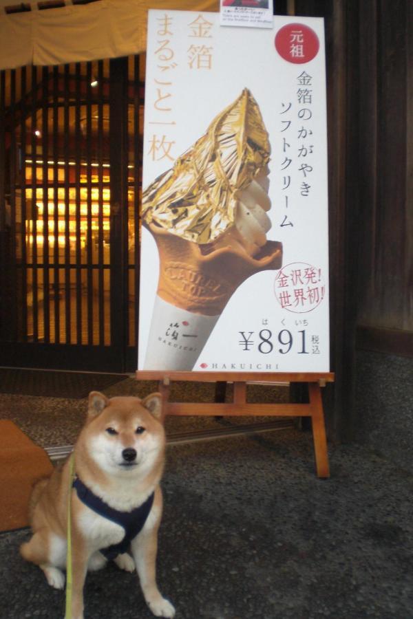 Kanazawa Share House Gaooo Eksteriør bilde
