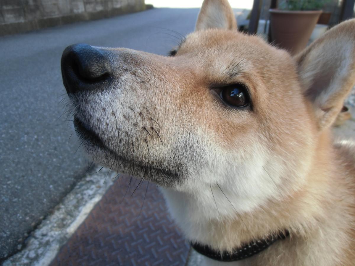 Kanazawa Share House Gaooo Eksteriør bilde