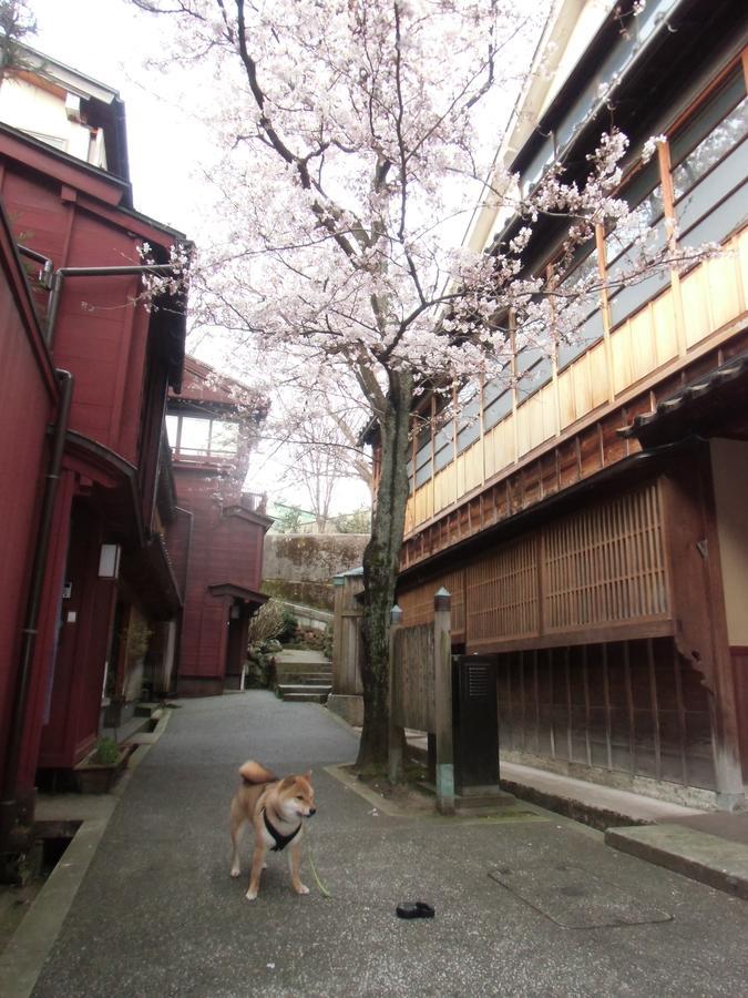 Kanazawa Share House Gaooo Eksteriør bilde