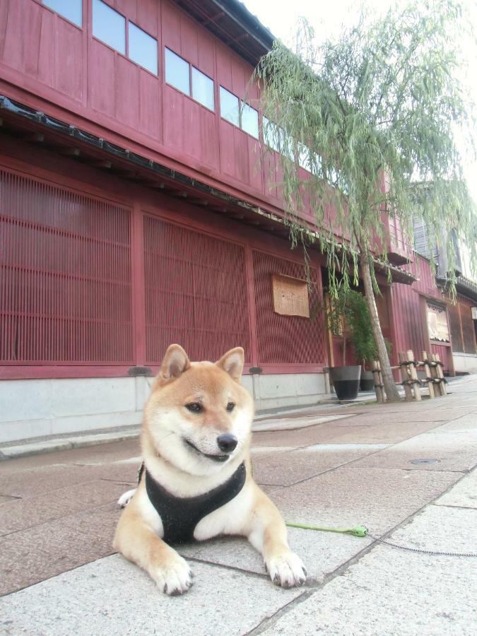 Kanazawa Share House Gaooo Eksteriør bilde